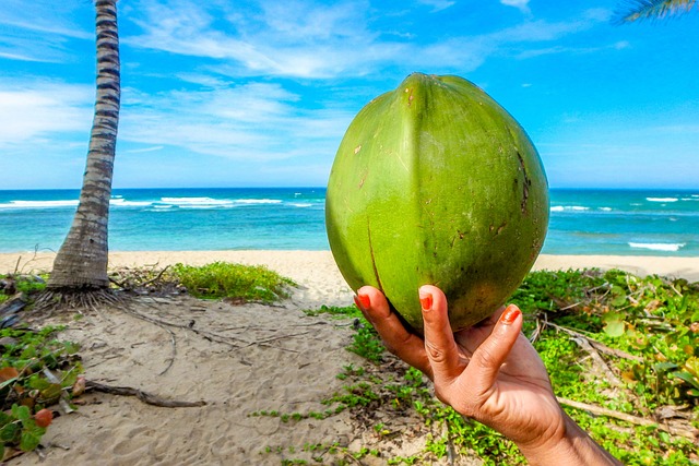 Kokoscreme som en effektiv behandling mod tør og irriteret hud